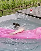 Filename=016.jpg
Filesize=95KiB
Dimensions=720x400
Date added=Jan 24, 2013 016.jpg