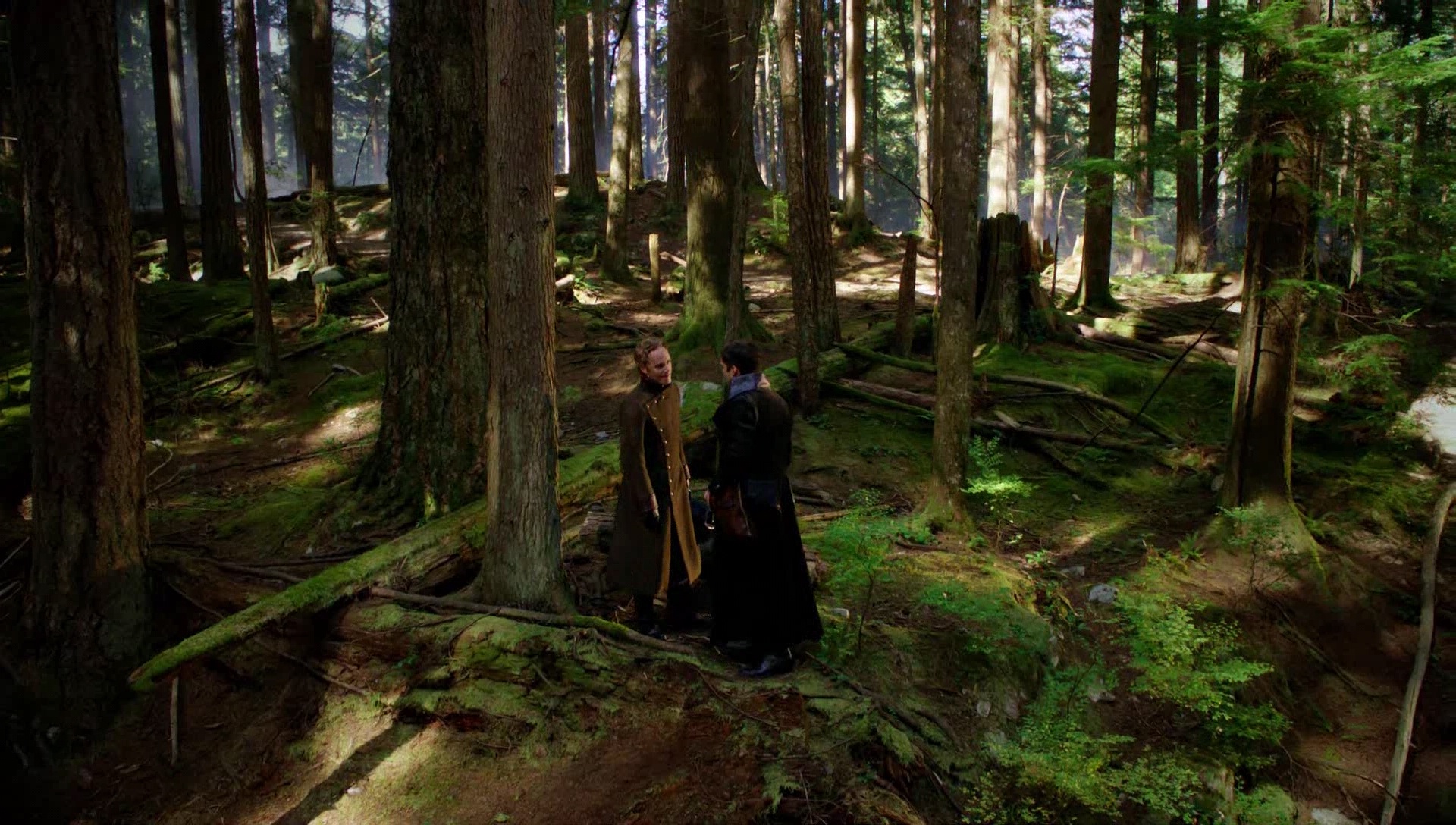 0000954.jpeg 0000954.jpeg