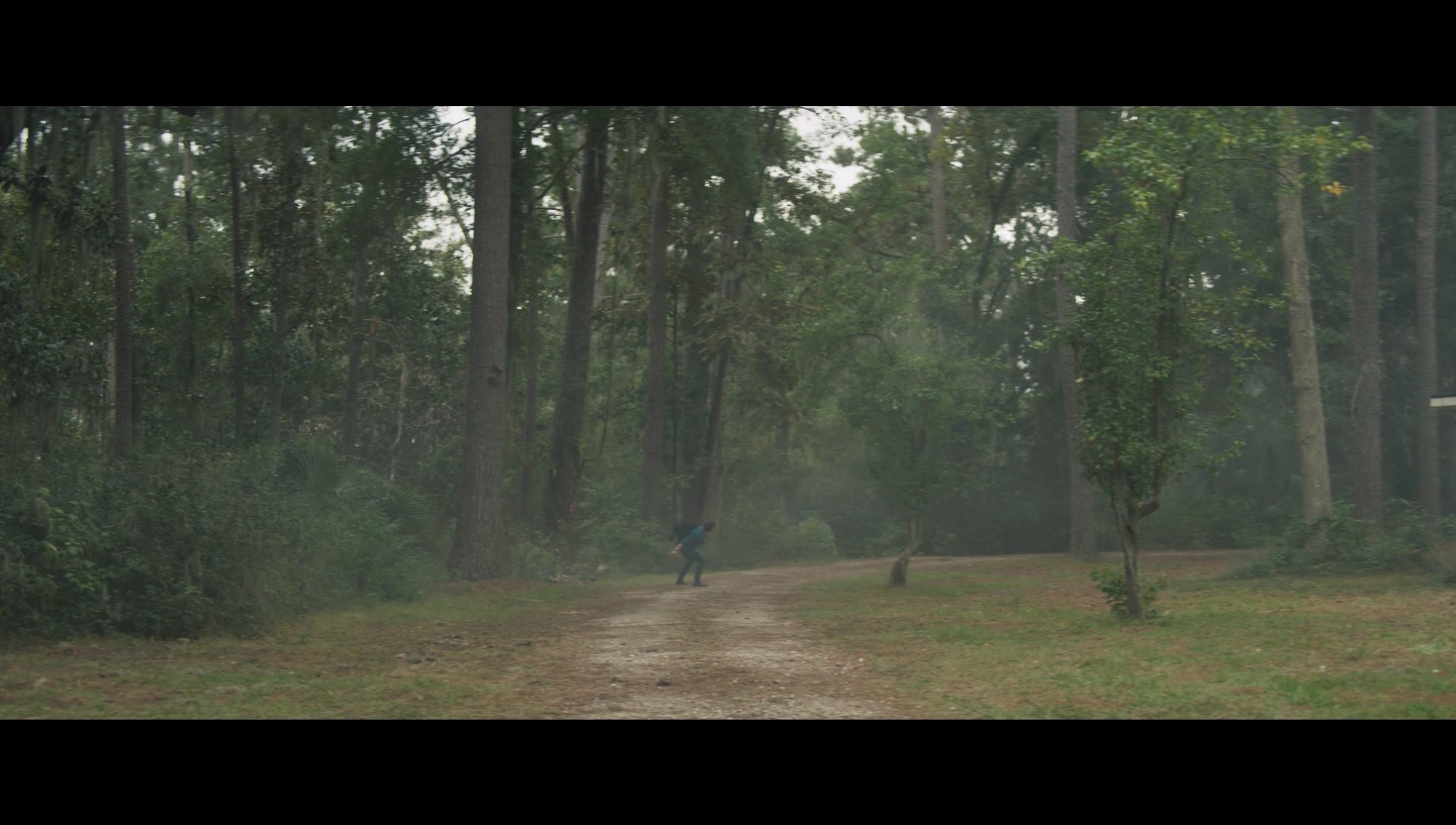 000_01_0353.jpeg 000_01_0353.jpeg