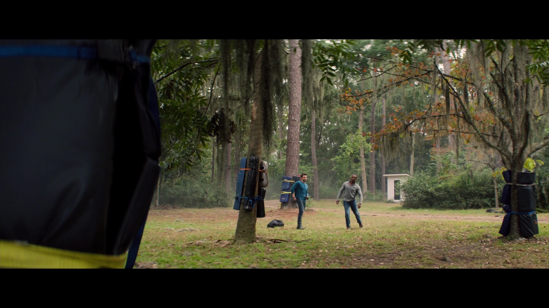 000_01_0237.jpeg 000_01_0237.jpeg