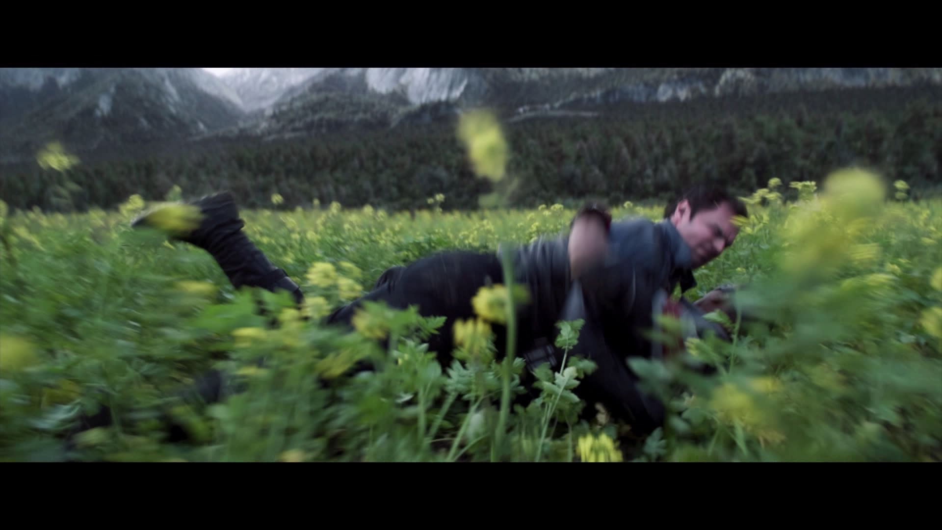 000_01_1143.jpeg 000_01_1143.jpeg