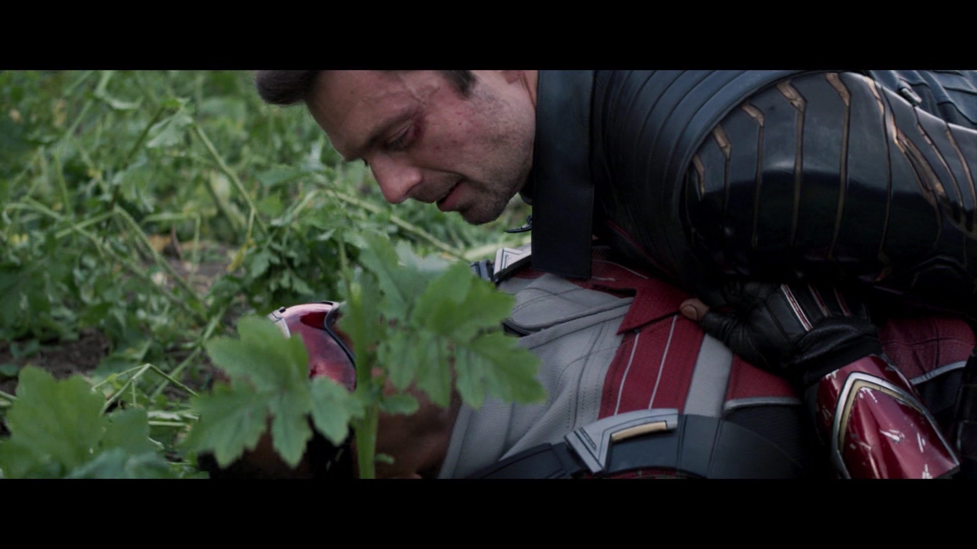 000_01_1145.jpeg 000_01_1145.jpeg