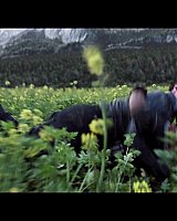 Filename=000_01_1143.jpeg
Filesize=209KiB
Dimensions=1920x1080
Date added=Apr 30, 2024 000_01_1143.jpeg