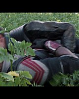 Filename=000_01_1144.jpeg
Filesize=261KiB
Dimensions=1920x1080
Date added=Apr 30, 2024 000_01_1144.jpeg