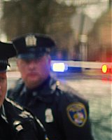 Filename=558.jpg
Filesize=176KiB
Dimensions=1920x804
Date added=Mar 27, 2021 558.jpg