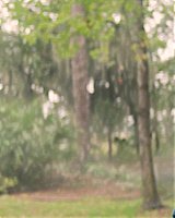 Filename=428.jpg
Filesize=180KiB
Dimensions=1920x804
Date added=Jan 07, 2022 428.jpg