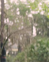 Filename=539.jpg
Filesize=177KiB
Dimensions=1920x804
Date added=Jan 07, 2022 539.jpg