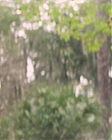 Filename=540.jpg
Filesize=186KiB
Dimensions=1920x804
Date added=Jan 07, 2022 540.jpg