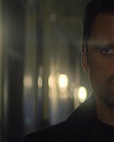 Filename=255.jpg
Filesize=109KiB
Dimensions=1920x804
Date added=Jan 07, 2022 255.jpg