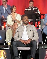 chadwickboseman_story_1764215063169528916_3117698382.jpg